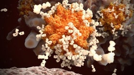 COVID-19 Vaccine Developers Search for Antibodies That 'First Do No Harm'