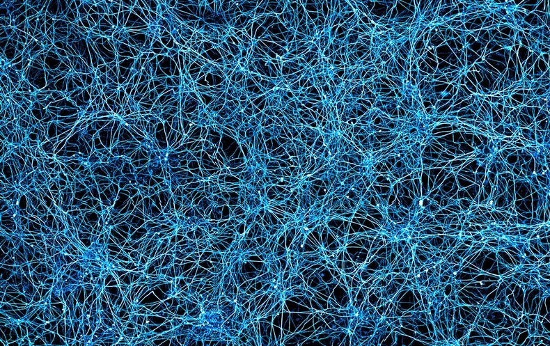 Photo of Brain Cells Blinking