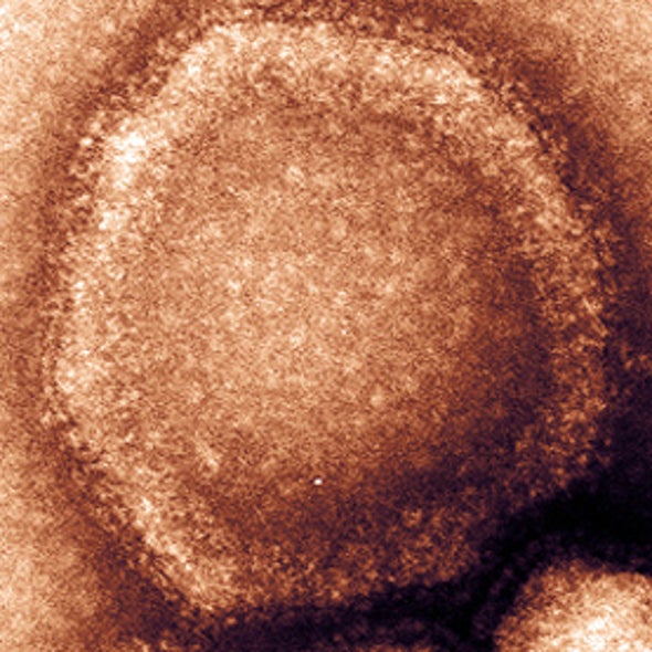 Climate Change Boosts Lethal Hendra Virus