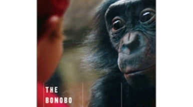 истоки морали: в поисках человеческого у приматов. истоки морали в поисках человеческого у приматов. в поисках человеческого у морали» франс де вааль. истоки морали в поисках человеческого у приматов. истоки морали франс де вааль обложка.