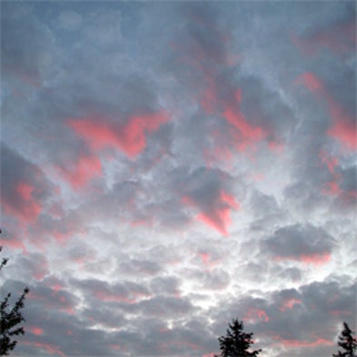 From Dot.Coms to Cloud Computing: What's Old Is New Again