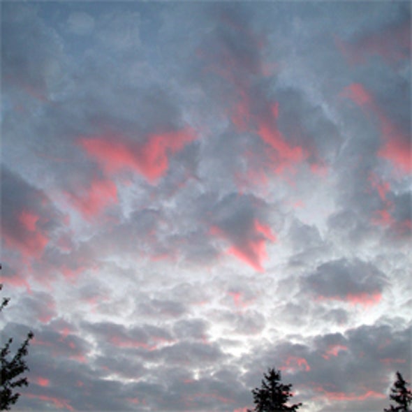From Dot.Coms to Cloud Computing: What's Old Is New Again