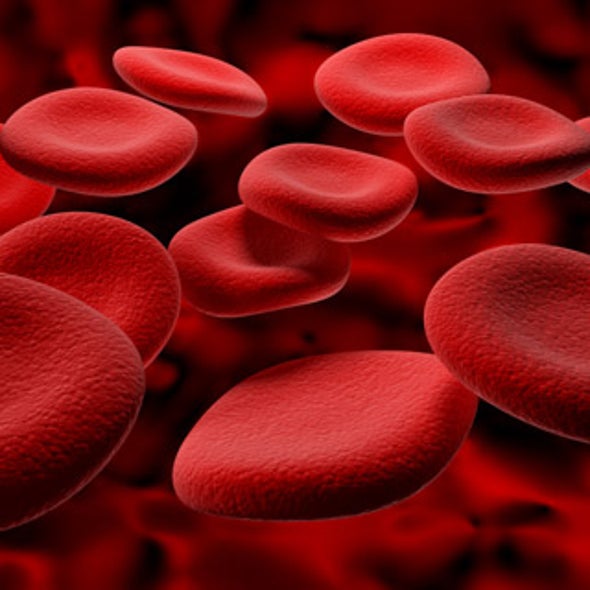 New Targets for Treating Huntington's Disease Discovered