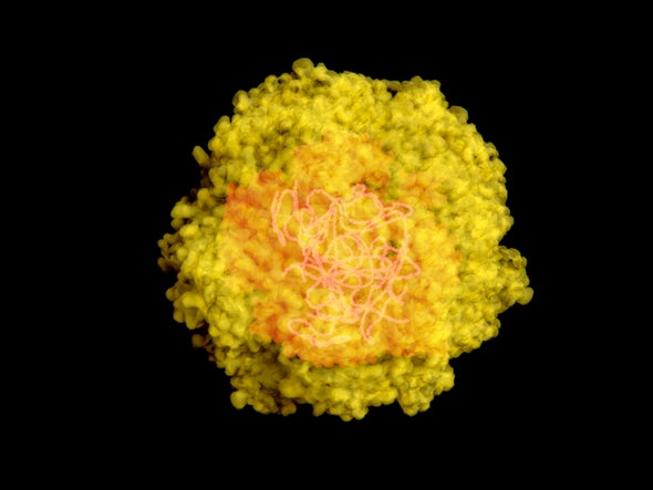 A Private Place Where HIV, Zika and Ebola Hide