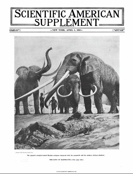 SA Supplements Vol 81 Issue 2101supp