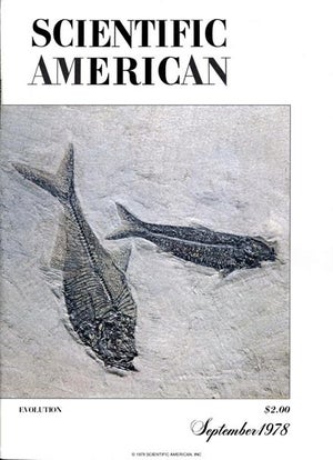Scientific American Magazine Vol 239 Issue 3