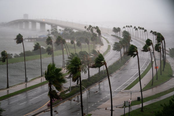 Hurricane wind gusts blow across Sarasota Bay with highway and palm trees bending in winds