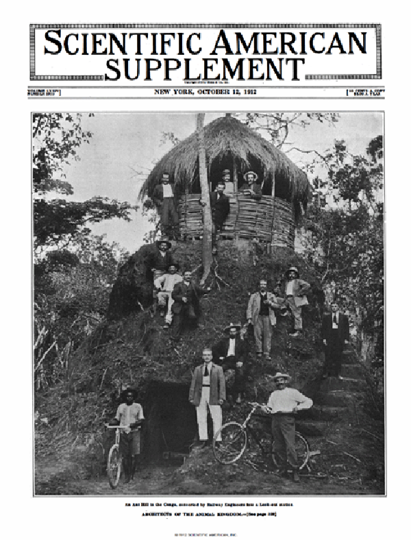 SA Supplements Vol 74 Issue 1919supp