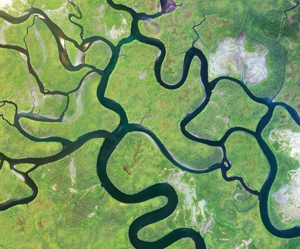 Rivers curl through an island in West Africa's Guinea-Bissau.