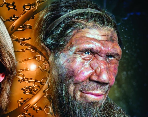 Health Care Let Neandertals "Punch above Their Weight"