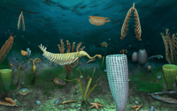 Extinct Sea Animals In The Last 1000000 Years Extinct Sea Animals In The Last 1000000 Years