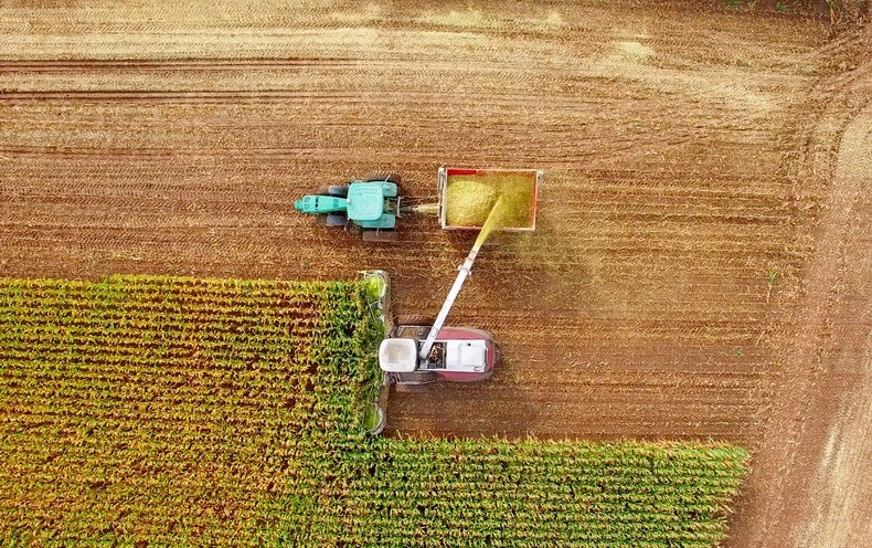 Climate Change Sets a Drought Trap for U.S. Corn - Scientific American