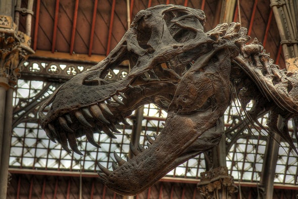 How I Dissected a <i>T. Rex</i> [Video]