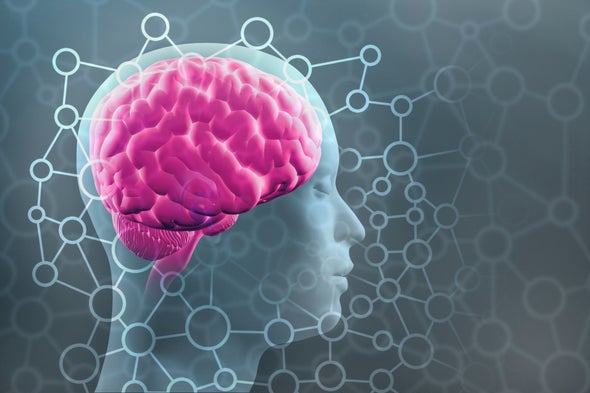 New Estimate Boosts the Human Brain's Memory Capacity 10-Fold