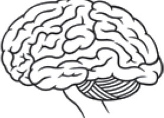 interview essay example script