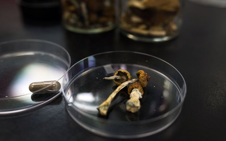 Two Cancer Clients Struggle to Make Psilocybin Available for Palliative Care