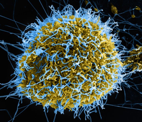 Hospitals on the Lookout for Ebola Patients