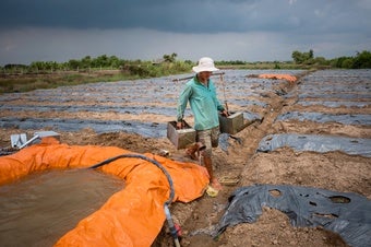 New Elevation Measure Shows Climate Change Could Quickly Swamp the Mekong Delta