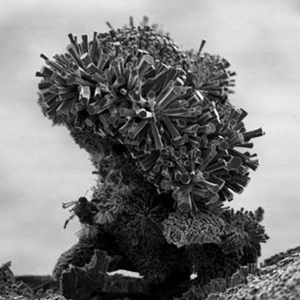 Six Images of Nano-scale Worlds