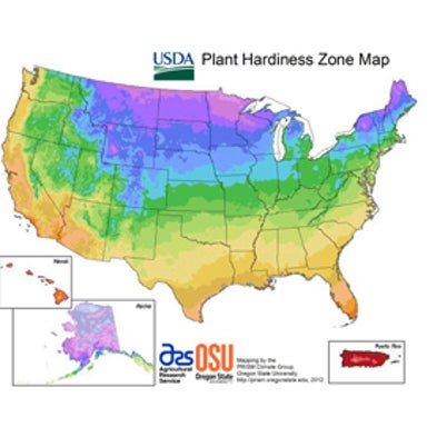 Plant Movement from Climate Change Revealed in Interactive Map ...