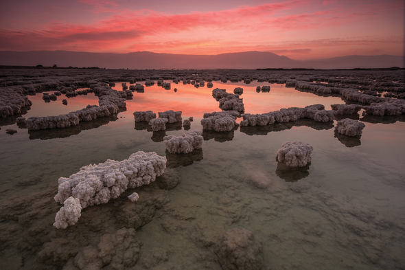 The Not So Dead Sea: Traces of Ancient Bacteria Found in the Lake's Sediments