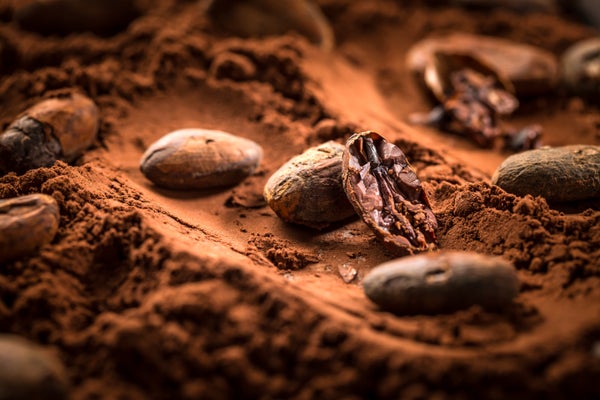 Cocoa beans and powder.