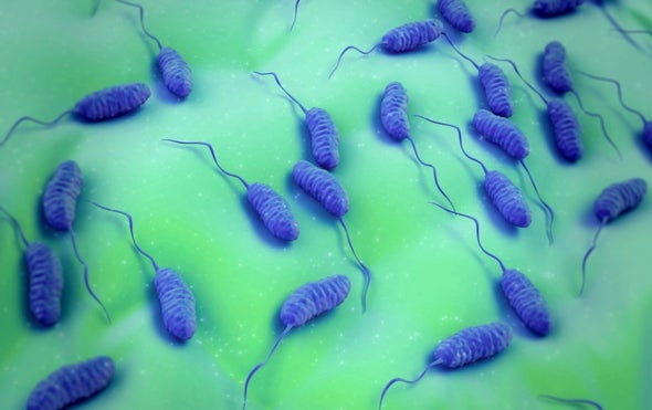 Deadly Bacteria Spread across Oceans as Water Temperatures Rise