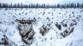 Deep Frozen Arctic Microbes Are Waking Up