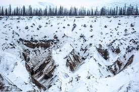 Deep Frozen Arctic Microbes Are Waking Up