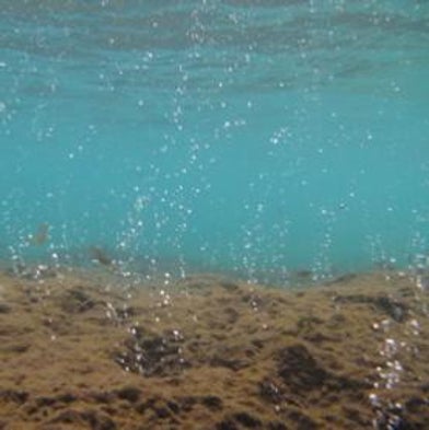 Underwater Fissure Provides Window onto Ocean Acidification