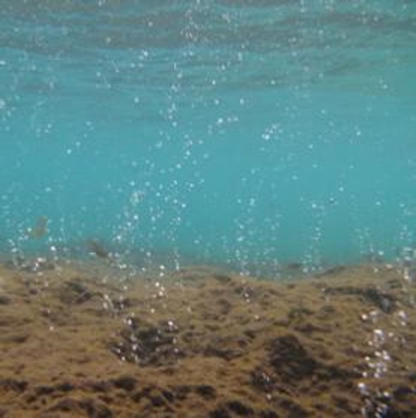 Underwater Fissure Provides Window onto Ocean Acidification
