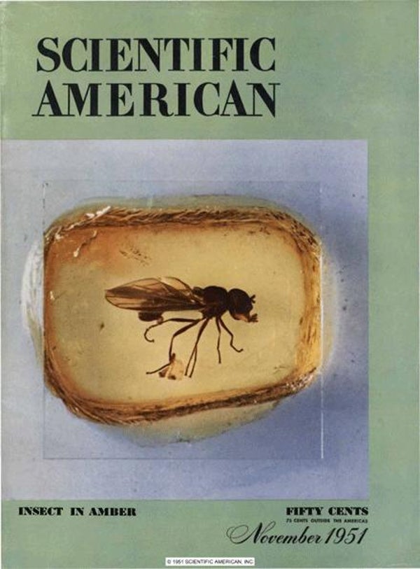 Scientific American Magazine Vol 185 Issue 5