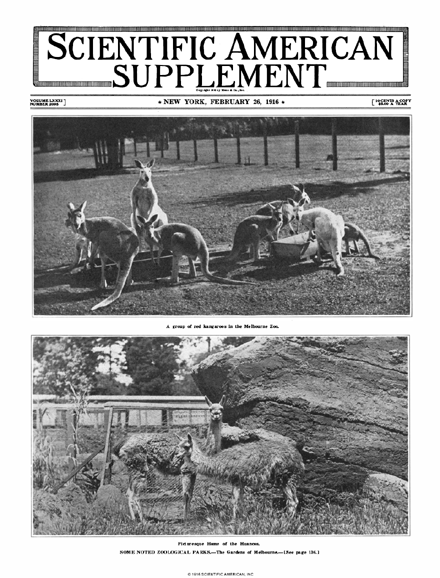 SA Supplements Vol 81 Issue 2095supp