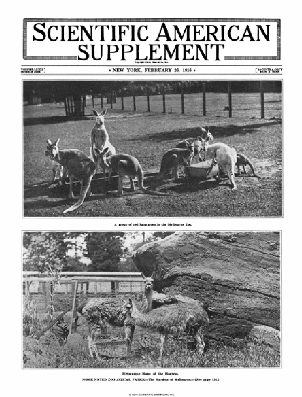 SA Supplements Vol 81 Issue 2095supp