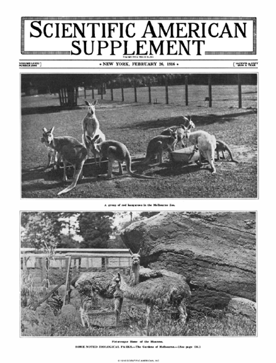 scientific-american-supplements-volume-81-issue-2095supp-scientific