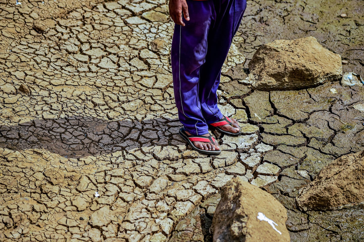 Lv Joggers  Natural Resource Department