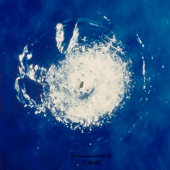 U.S. Taking Initial Steps to Grapple with Space Debris Problem