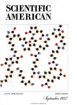 Scientific American Magazine Vol 197 Issue 3