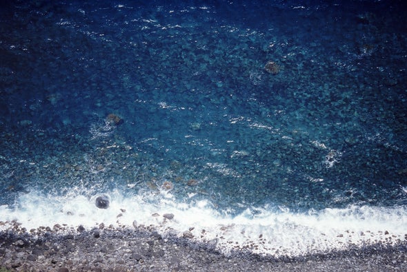 Desalination Could Cause Ecological Sea Change