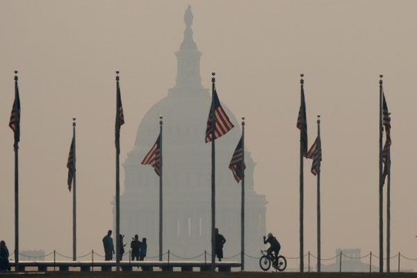 Silhouette of flags and people in D.C.