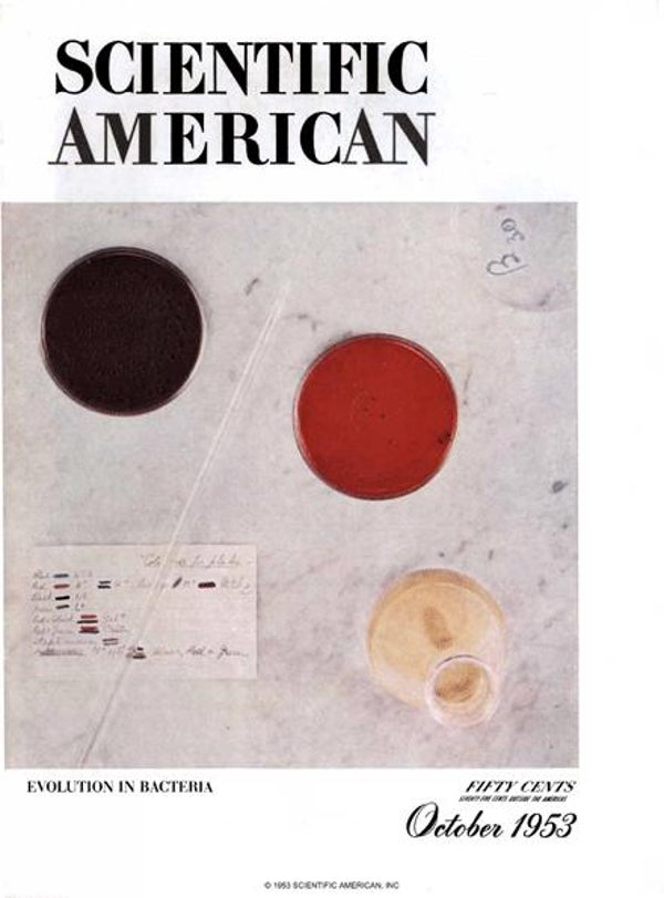 Scientific American Magazine Vol 189 Issue 4