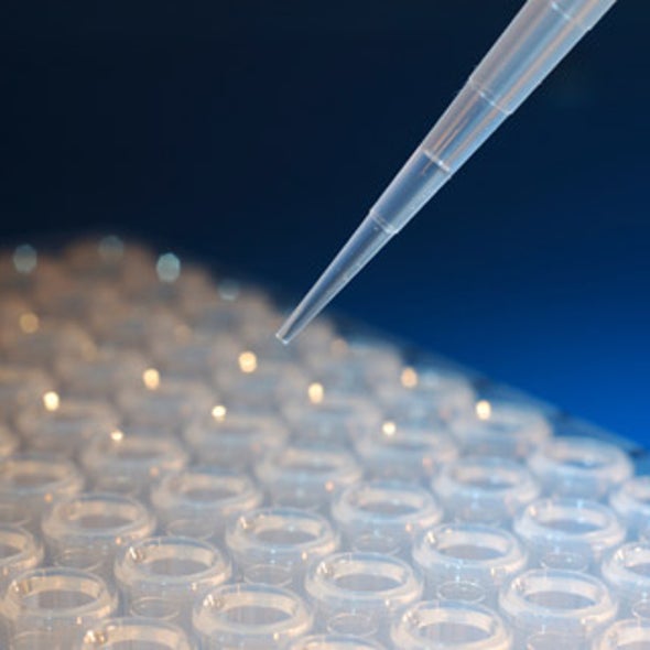 Antibody Drug Unleashes Tumor-Killer T Cells