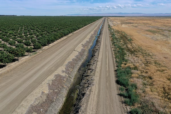 Aerial view of an irrigation canal separating an almond orchard and a field that lies fallow