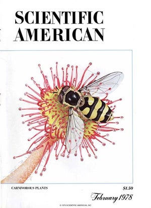 Scientific American Magazine Vol 238 Issue 2