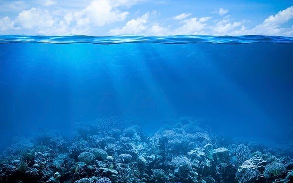 Coral Reefs Keep Costly Waves at Bay