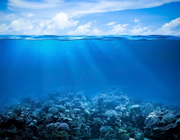 Coral Reefs Keep Costly Waves at Bay