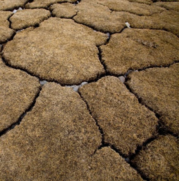 Not-So-Permafrost: Big Thaw of Arctic Soil May Unleash Runaway Warming