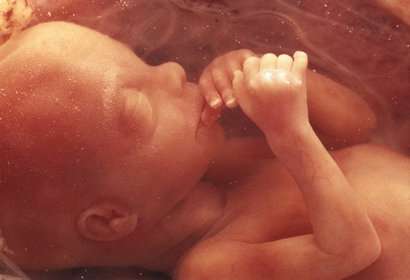 Fetuses May Respond to Faces While in the Womb