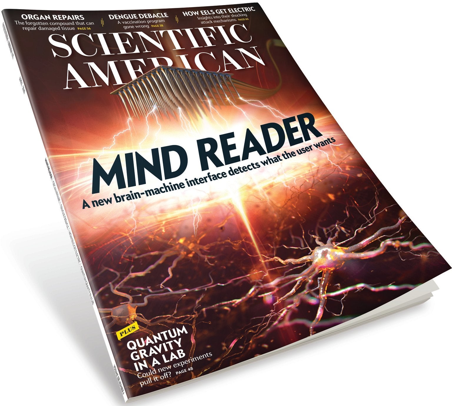 The Joy Of Science - Scientific American