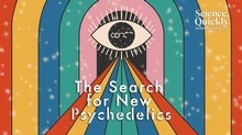 The Search for New Psychedelics